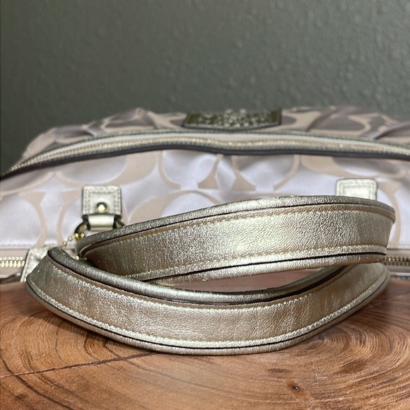 COACH DAISY POPPY X-LARGE SIGNATURE TOTE - Picture 10 of 15